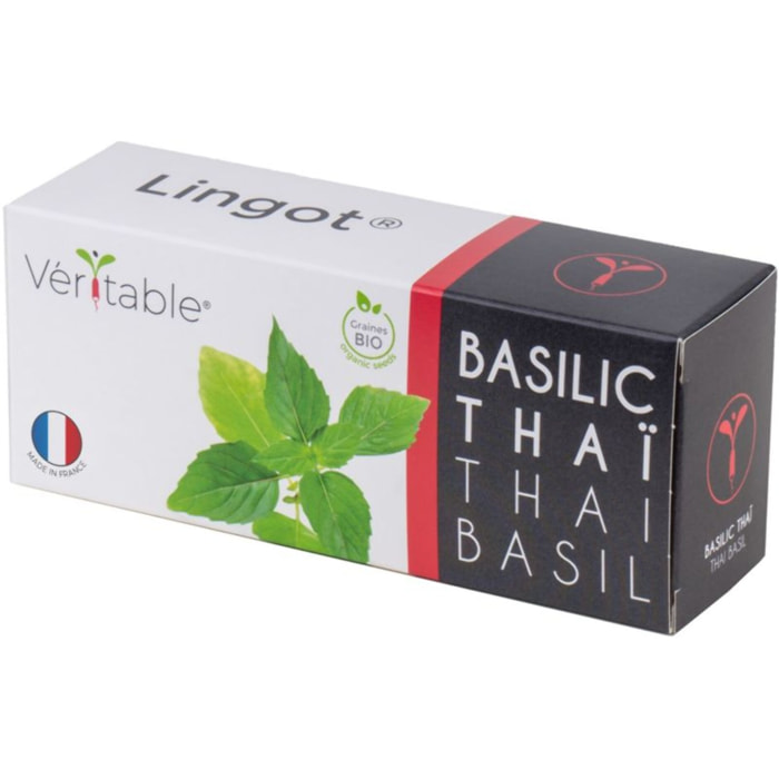 Recharge jardin d'intérieur VERITABLE Basilic Thai BIO