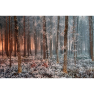 Tableau paysage de glace et de feu Tableau alu Dibond