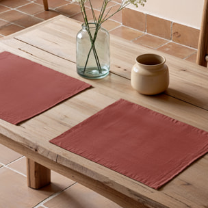 Pack de dos manteles individuales BRIA TERRACOTA