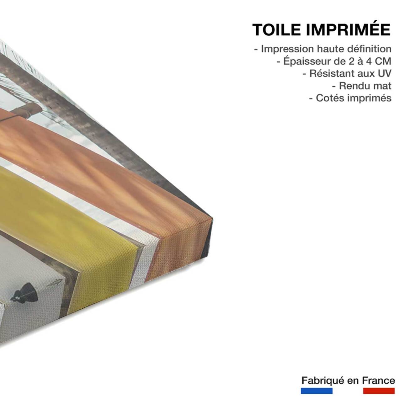 Tableau surf surf et coconut  Toile imprimée