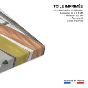 Tableau surf surf et coconut  Toile imprimée
