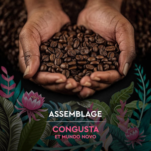 Carte Noire Grains Secret de Nature Congusta 1 KG