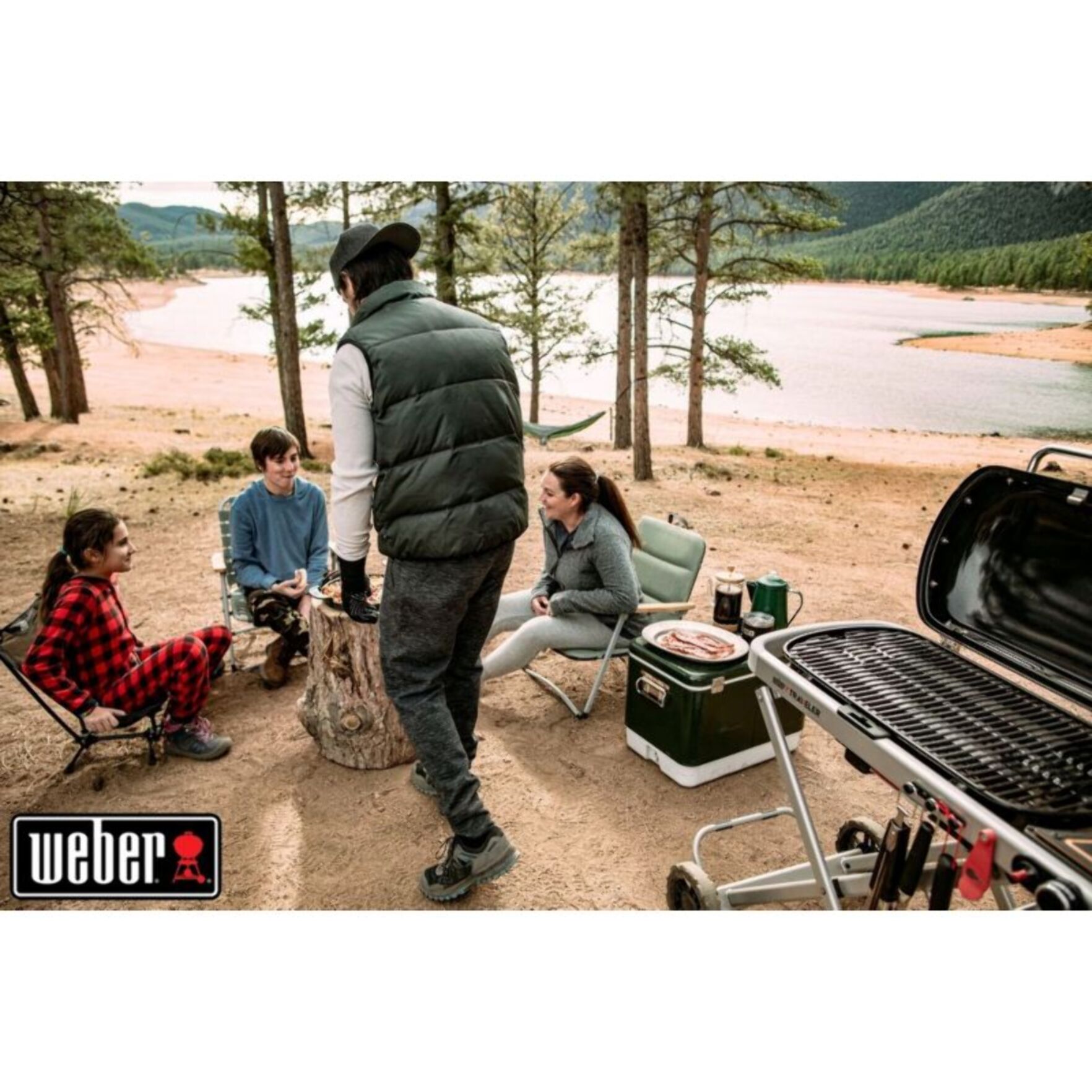 Barbecue gaz WEBER Traveler Black sur chariot, 63.5x34.3 cmcm