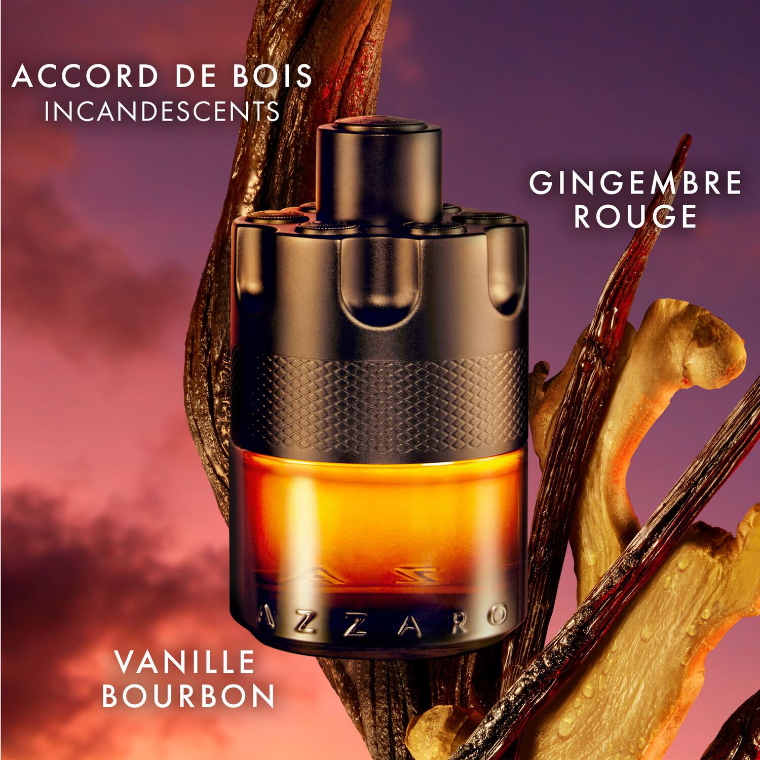 Azzaro The Most Wanted - Eau de Parfum