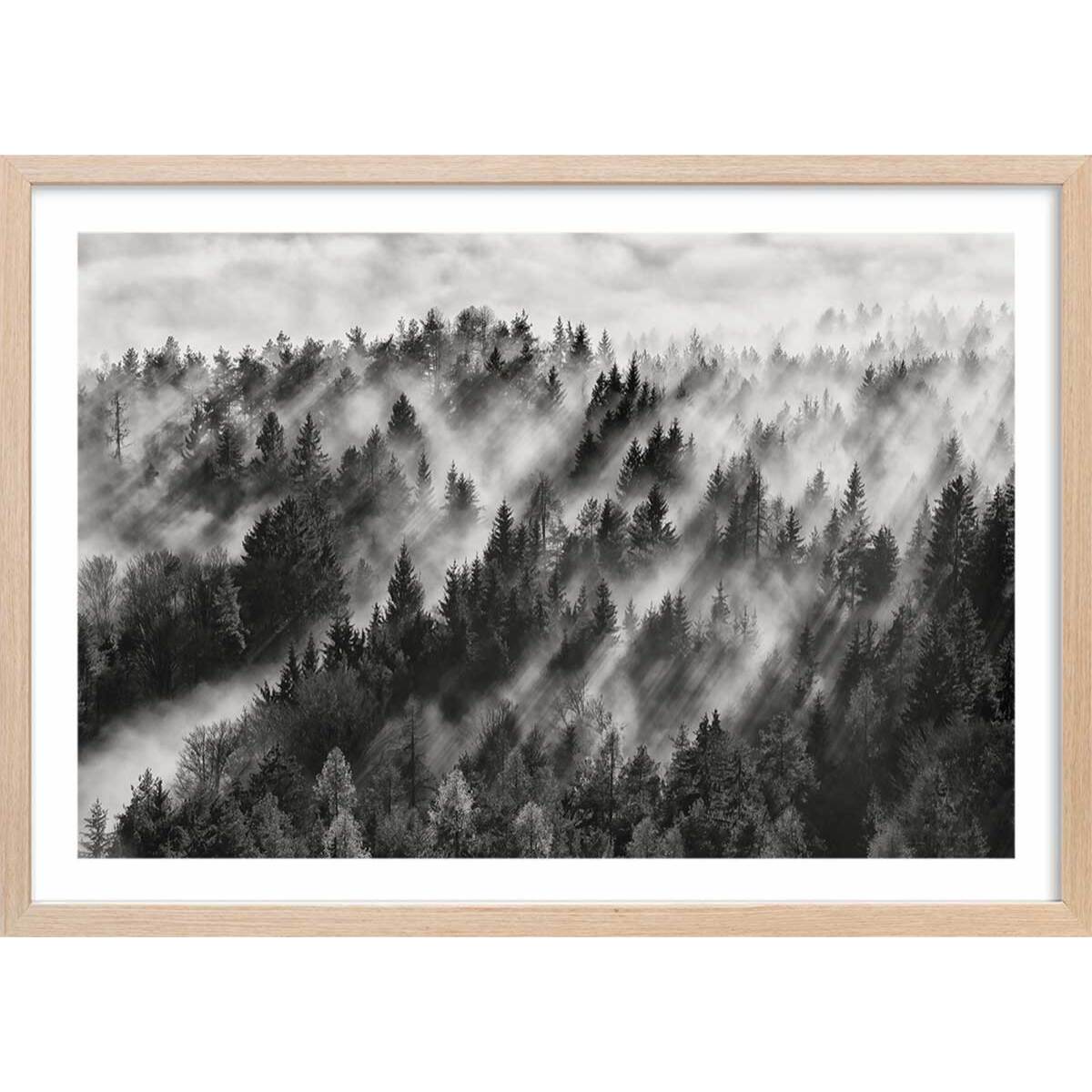 Affiche paysage rayons de lumière Affiche + cadre en bois - Chêne