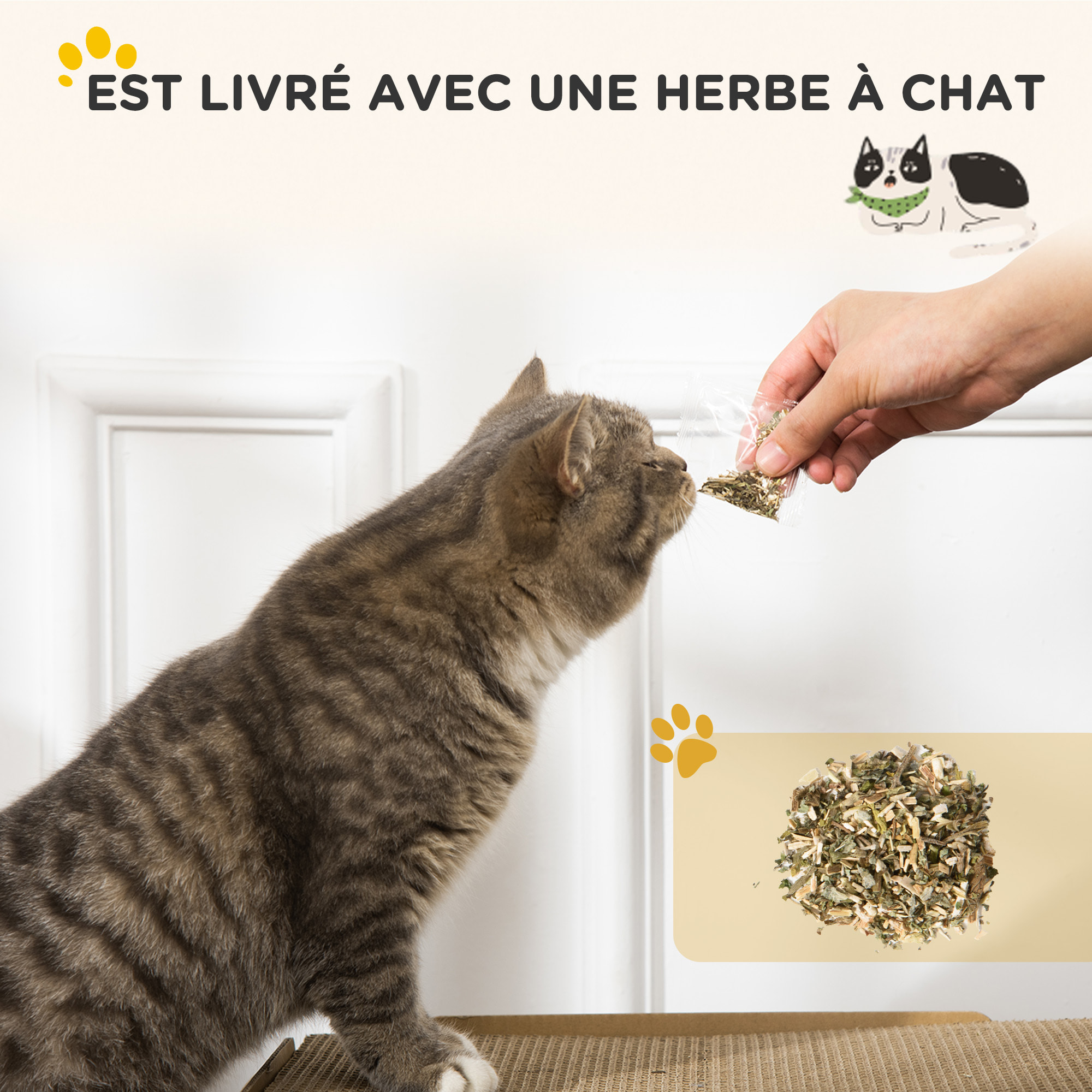 Niche grattoir pour chat 2 en 1 - design radio transistor vintage - carton ondulé