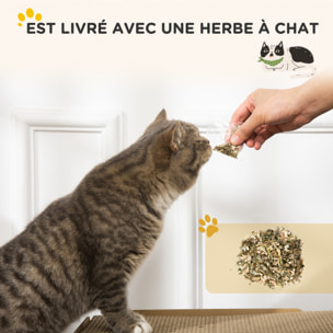 Niche grattoir pour chat 2 en 1 - design radio transistor vintage - carton ondulé