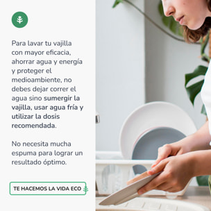 Pack 6xLavavajillas Manual Té Verde ECO  Planeta Huerto 750ml