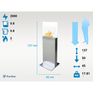 Cheminée à l'éthanol au sol en acier noir et flamme réglable