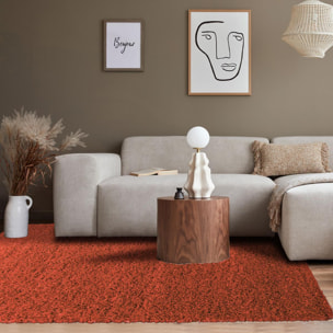 Tapis poils longs shaggy tissé motif uni ZASIVE