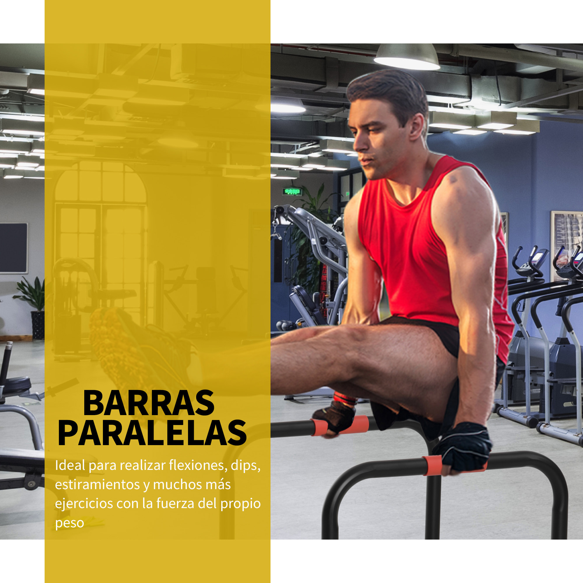 Barras Paralelas Training Soporte con Mango 63x41x73 cm Negro