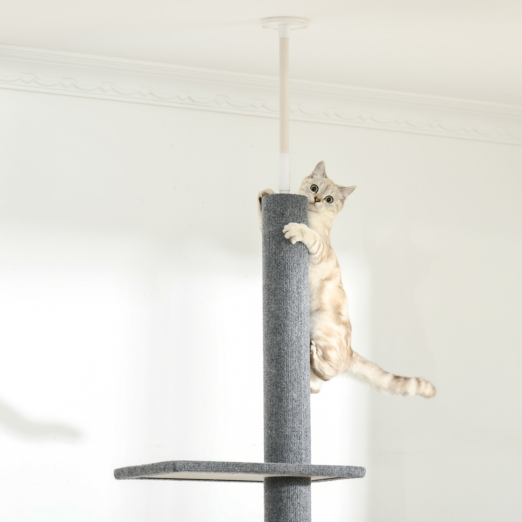 Árbol para Gatos del Suelo al Techo 43x27x228-260 cm Torre para Gatos con Altura Ajustable 4 Plataformas Espaciosas y Poste de Sisal Gris