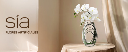 MKTPLACE_Longtail_Home_SIADECO1