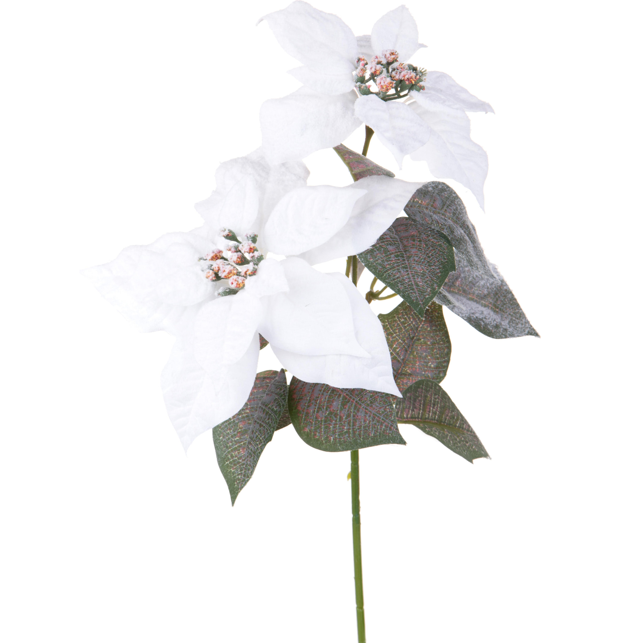 Stella natale - Pezzi 12 - 12xH55x12cm - Bianchi Dino SpA