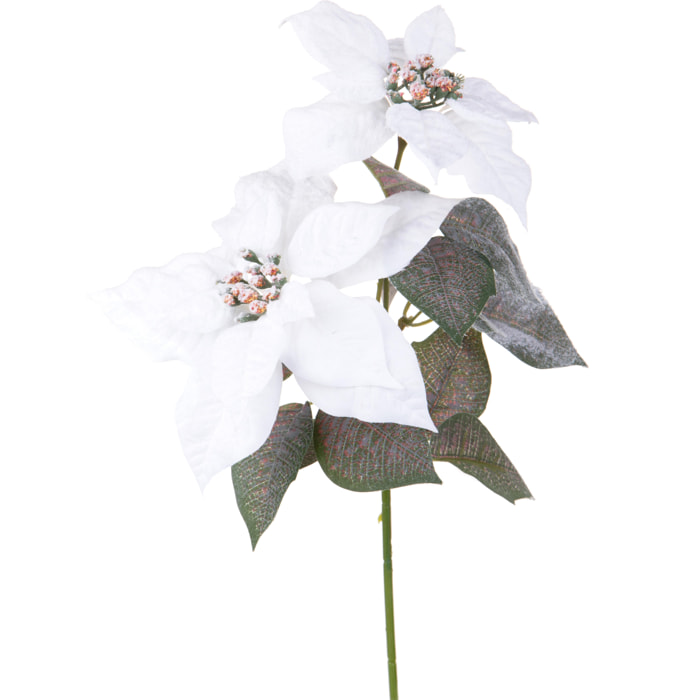 Stella natale - Pezzi 12 - 12xH55x12cm - Bianchi Dino SpA