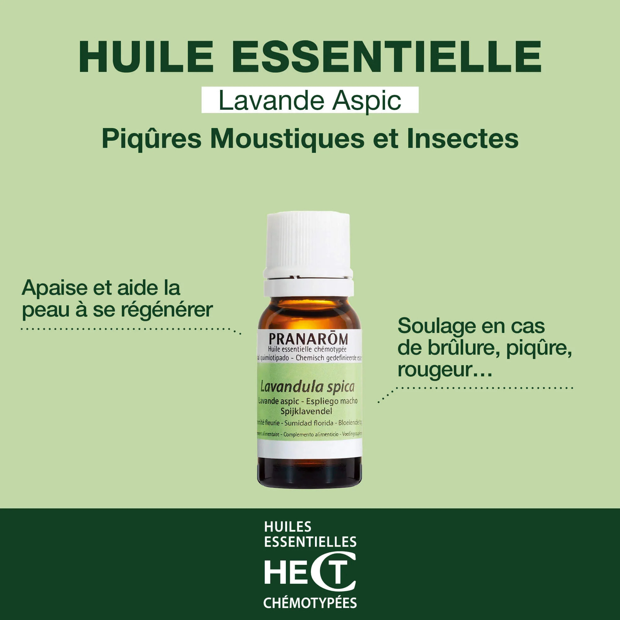 Pranarom - Huile Essentielle de Lavande aspic - 10 ml