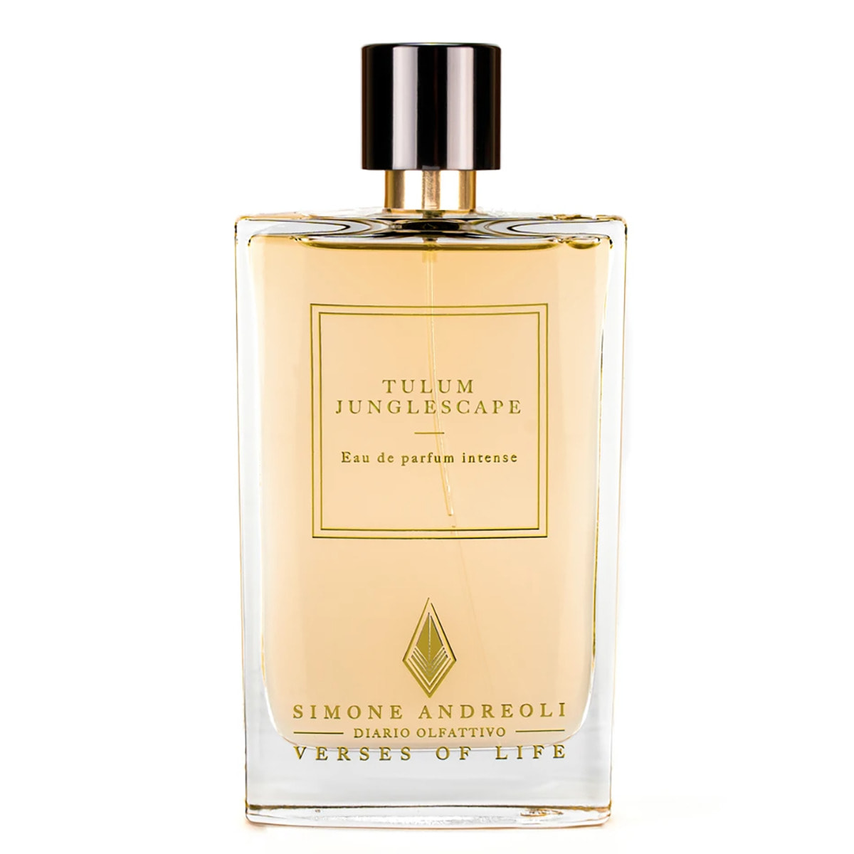 Simone Andreoli Eau de Parfum EDP Unisex 100 ML