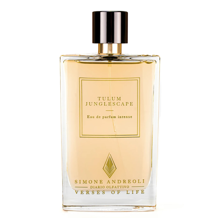 Simone Andreoli Eau de Parfum EDP Unisex 100 ML