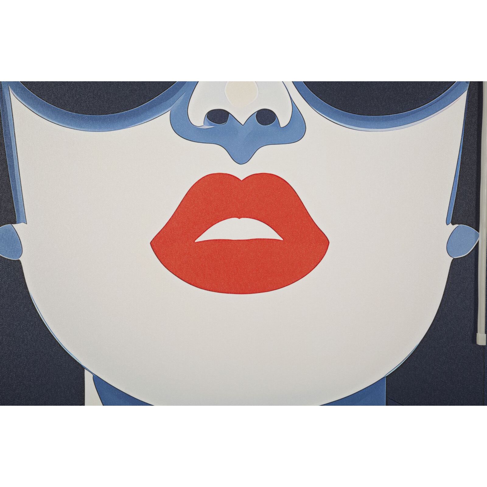 STAMPA C/LED SU TELA CECILLE CM 80X4X120