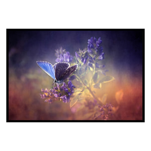 Affiche encadrée – Papillon bleu sur fleur violette, poésie naturelle Affiche + cadre en métal - Noir