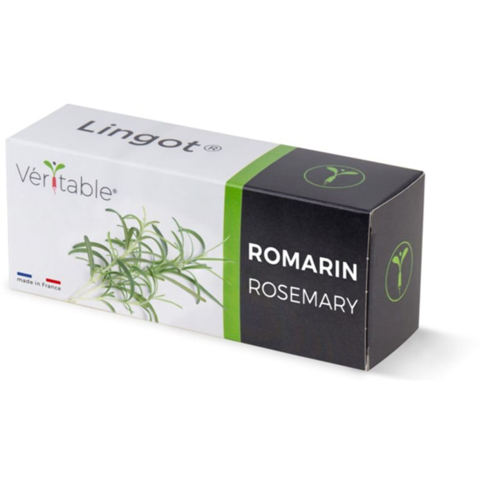 Recharge jardin d'intérieur VERITABLE romarin