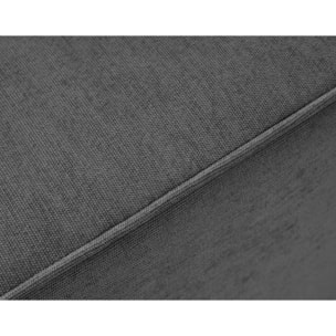 Topaze - canapé 3 places - convertible avec coffre - en tissu - Gris foncé