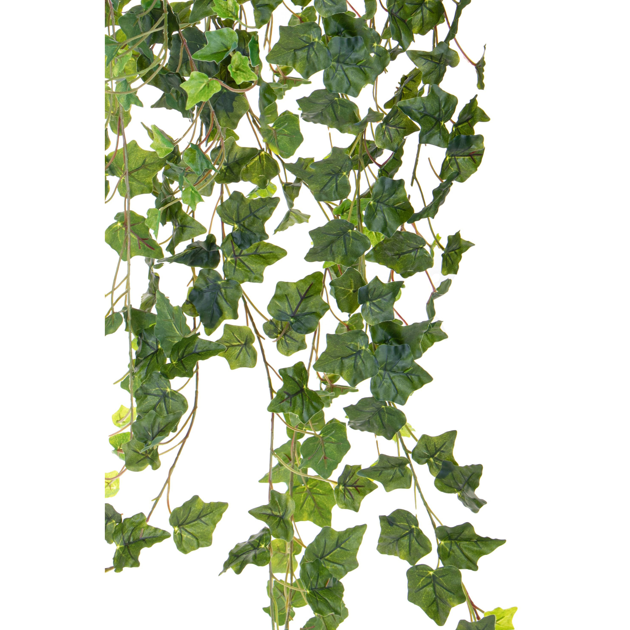 Edera Rampicante Real Touch 175 Cm - Pezzi 1 - 40X175X40cm - Colore: Verde - Bianchi Dino - Piante Artificiali