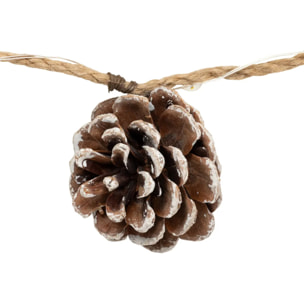 GD INT NAT PP BAIE 20LBC L220P