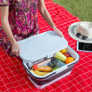 Cesta de Picnic Plegable con Tapa-Mesa Pickning InnovaGoods