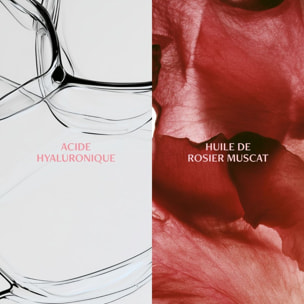 Source de Roses - Eau Extraordinaire - Essence Hydra-Repulpante 150 ml