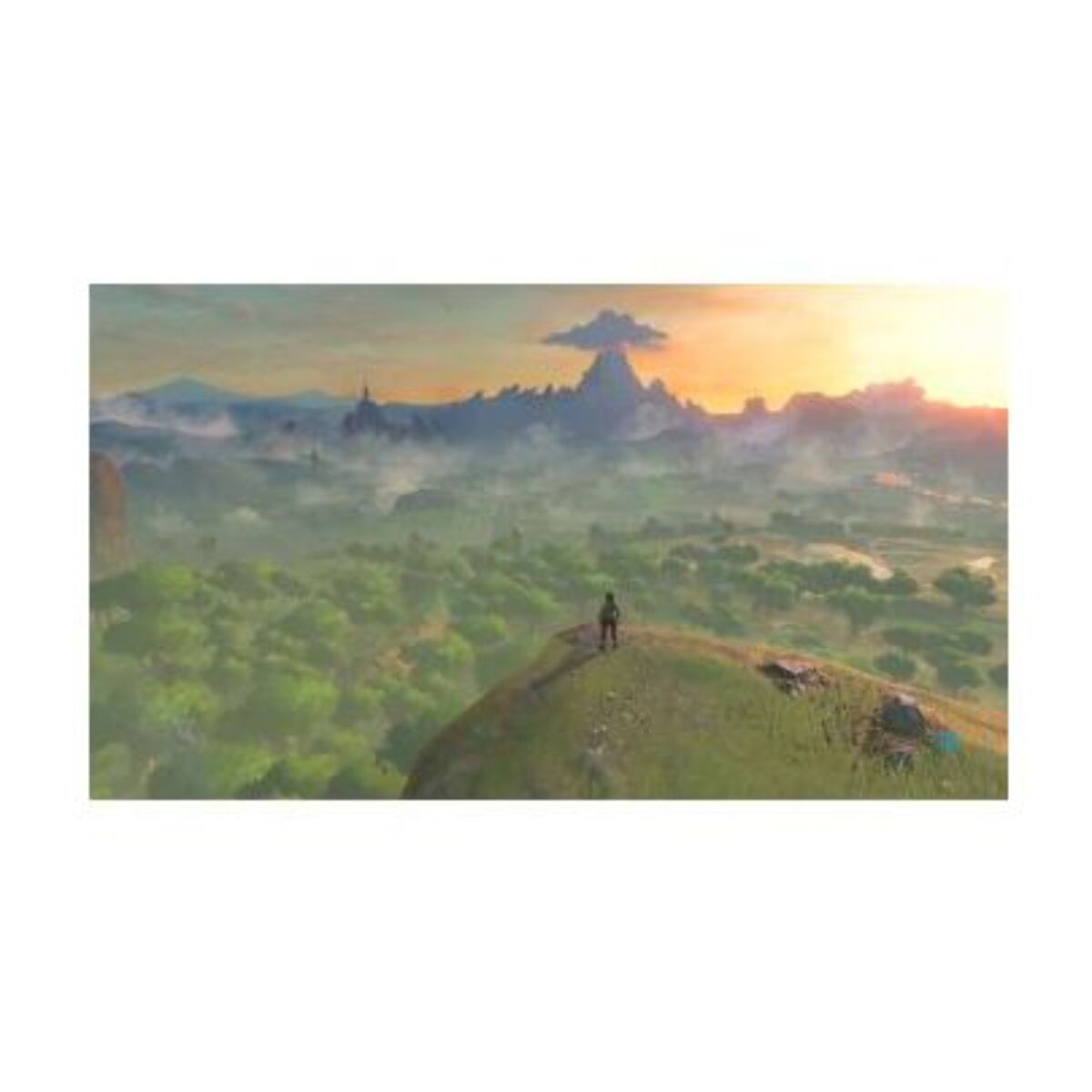 Jeu Switch NINTENDO The Legend Of Zelda - Breath Of The Wild