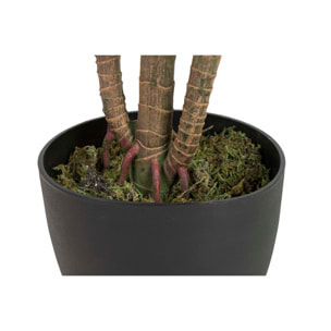 Planta Artificial Aureum Con Maceta 65x65x88 Cm