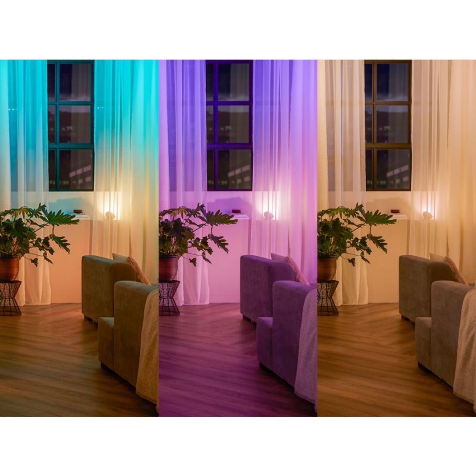 Interrupteur PHILIPS HUE Module wall switch