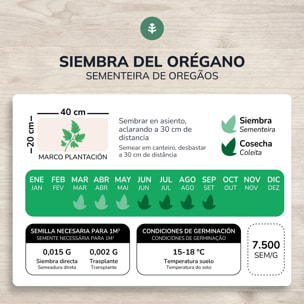 Semillas de Orégano ecológicas Planeta Huerto