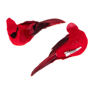 Pettirosso 12 pz con clip - Pezzi 3 - ROSSO - Bianchi Dino SpA