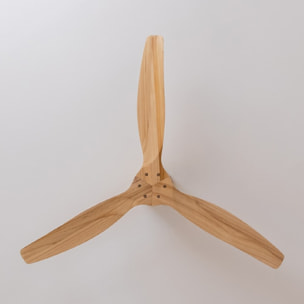 Ventilatori da soffitto EnergySilence Aero 5500 Aqua GoldWhiteWood Connected Cec