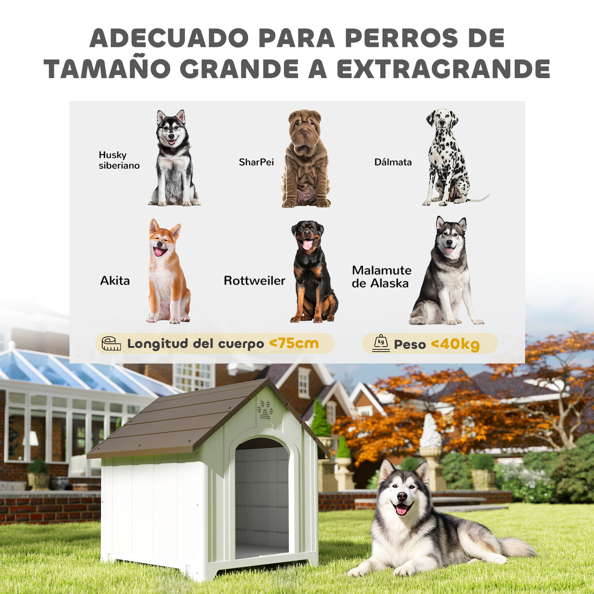 Caseta para Perros Exterior, Casa para Perros Extragrandes de Plástico Impermeable con 2 Ventanas, Base Elevada, Estacas, Fácil de Montar, 102x94x103 cm, Marrón Oscuro