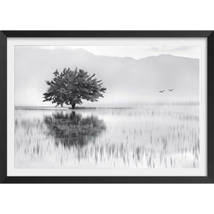 Affiche nature reflets d'eau Affiche + cadre en bois - Noir