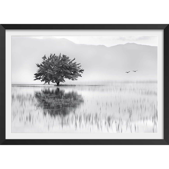 Affiche nature reflets d'eau Affiche + cadre en bois - Noir