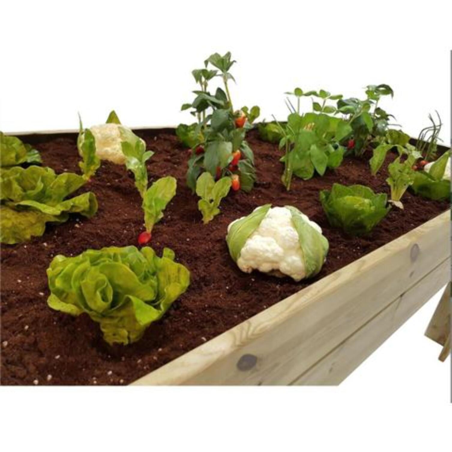PLANETA HUERTO | Kit Mesa de Cultivo + Sustrato Planeta Huerto – Huerto Urbano Completo para Cultivar en Casa