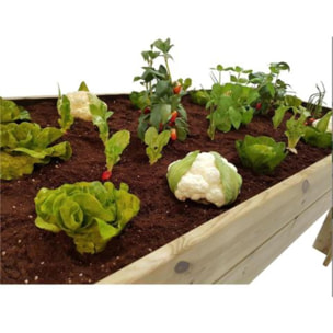 PLANETA HUERTO | Kit Mesa de Cultivo + Sustrato Planeta Huerto – Huerto Urbano Completo para Cultivar en Casa