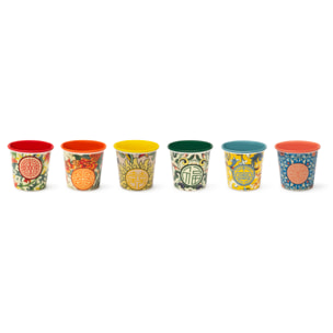 Set 6 Bicchierini Caffè Excelsa – La Via Della Seta, New Bone China Multicolore