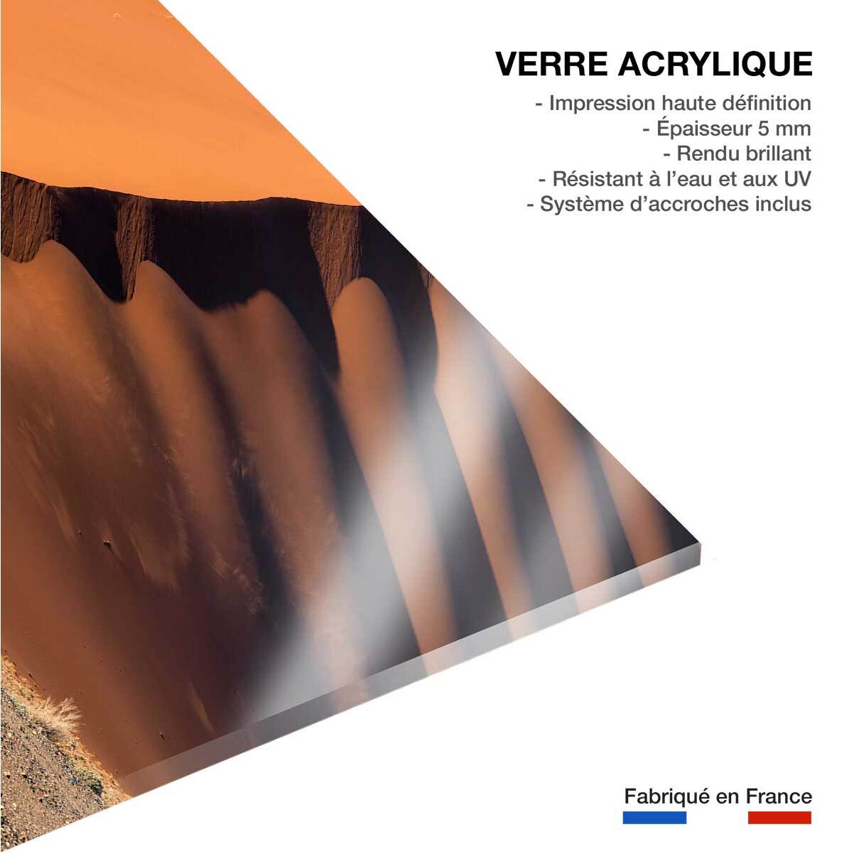 Tableau L'arbre sur la dune, Namibie Tableau plexiglas