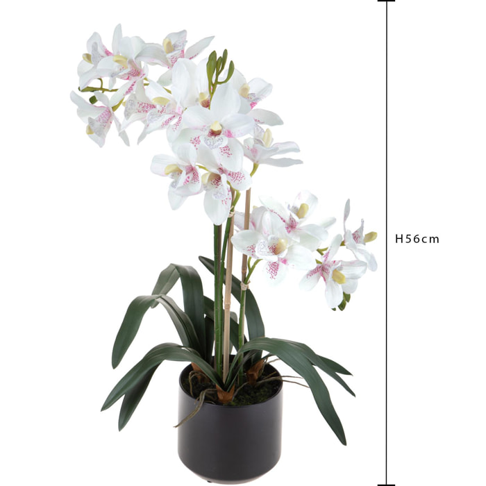 Orchidea Cymbidium Con 3 Diramzioni In Vaso. Altezza 56 Cm - Pezzi 1 - 34X56X34cm - Colore: Bianco - Bianchi Dino - Piante Artificiali