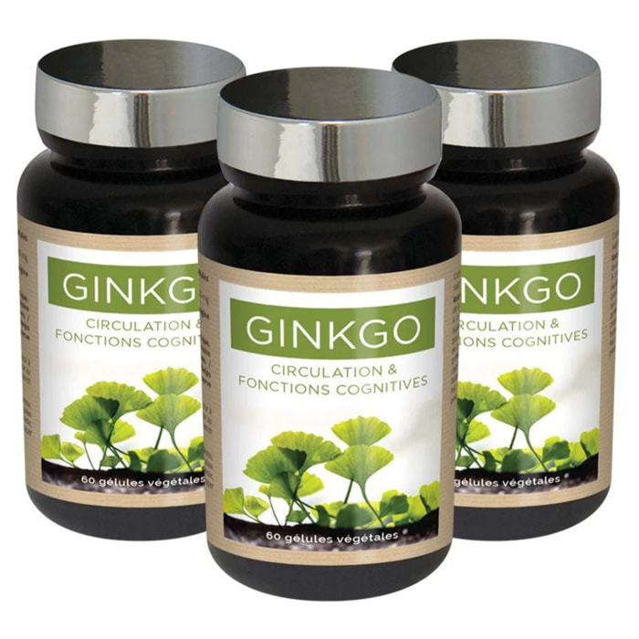 NUTRIEXPERT - Ginkgo Biloba - Préservation mémoire et fonctions cognitives - Soutient la circulation périphérique - Complément Alimentaire Végan - Cure 30 jours - Marque Française - Lot de 3 produits