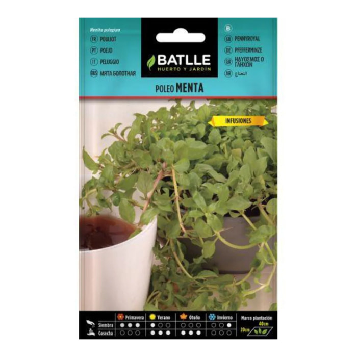 Semillas de Poleo Menta  Batlle