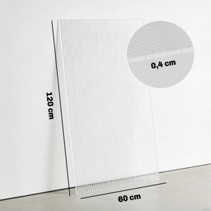 Lot de 10 panneaux polycarbonate alvéolaire 4 mm transparent dim. 120L x 60l cm