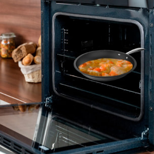 Cecotec Sartén Sartén Polka Classy 28 Bucket Steel