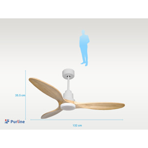Ventilateur de plafond Réversible  Thermostat Dimmable Wifi Moteur à courant continu Toits en pente Télécommande Lumière à trois tons Hypersilence Mémoire