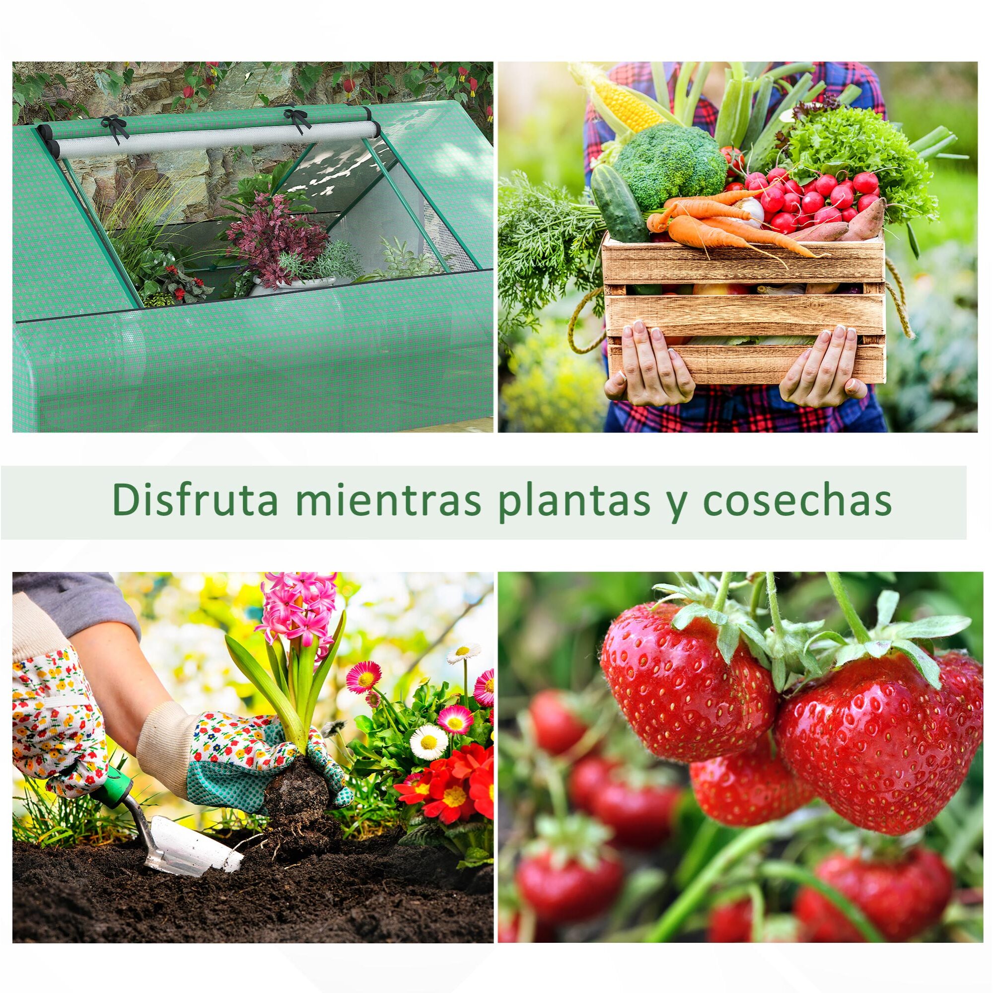 Invernadero de Exterior, 180x140x80 cm, Invernadero Pequeño con 4 Ventanas Enrollables de Malla, Marco de Acero y Cubierta PE 140g/Ã£Å½Â¡ Anti-UV para Jardin, Cultivos, Plantas, Verde